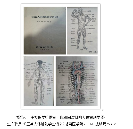 8534de5518647752.png
