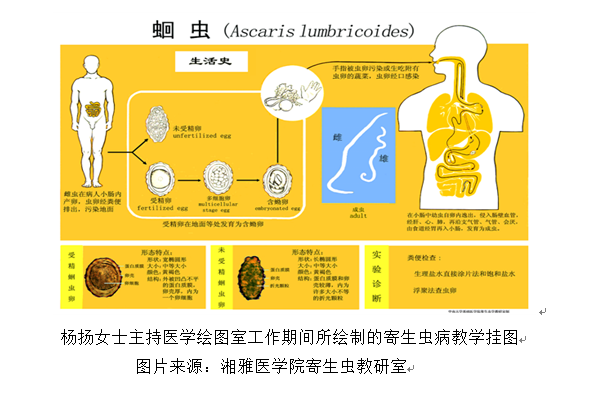 c96368c56f13bc31.png
