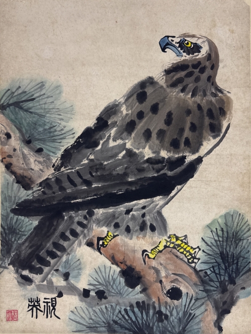《视英》