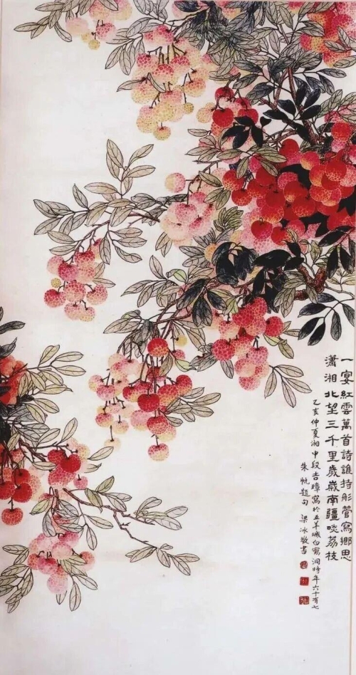 《荔枝图》