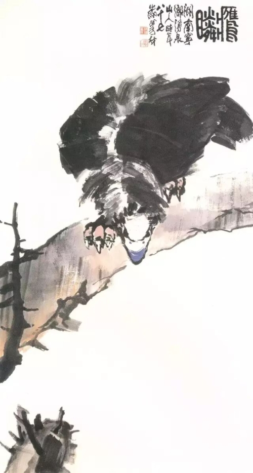 《鹰瞵》