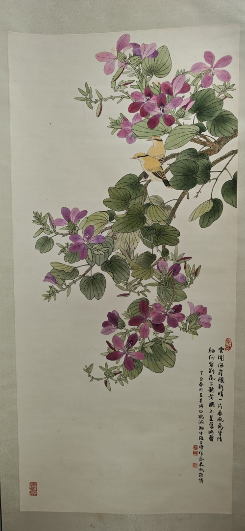 《紫荆黄鹂》