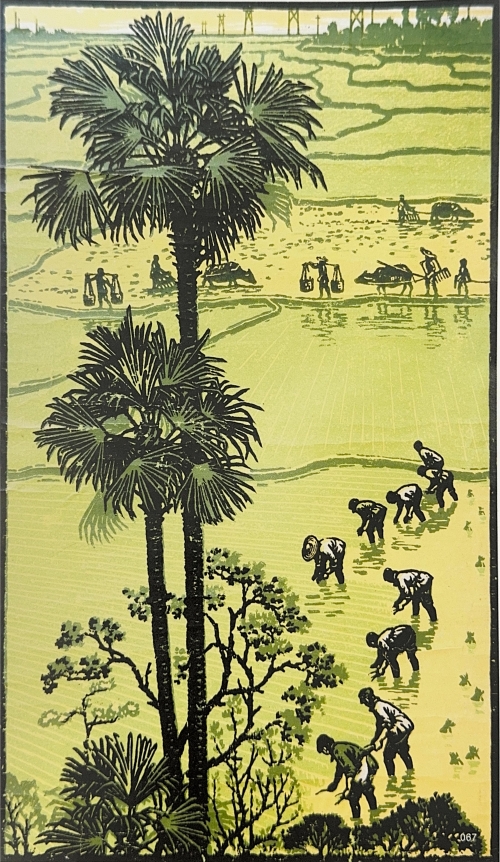 《绿遍江南》