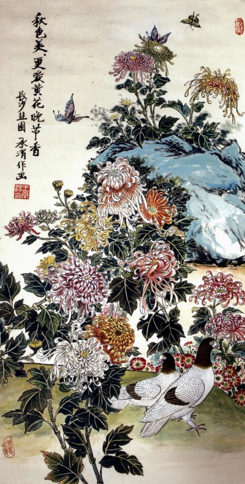 双鸽菊花